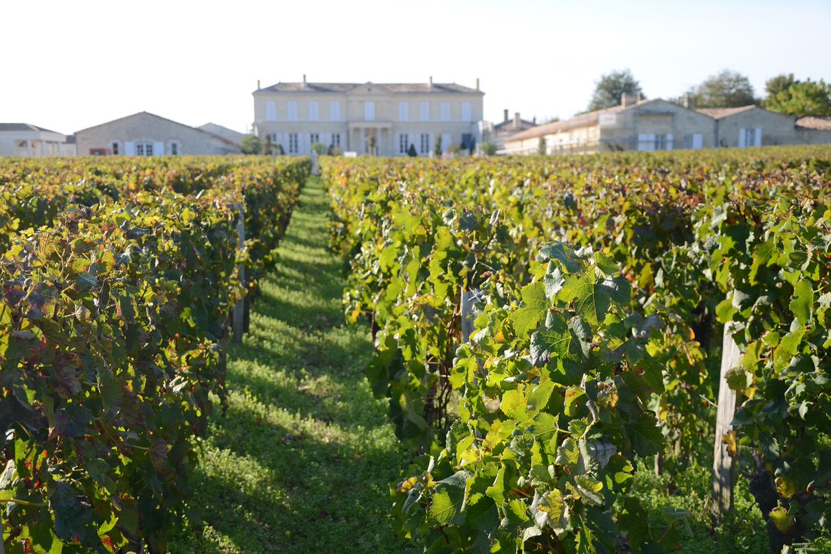 Vin rouge Bordeaux