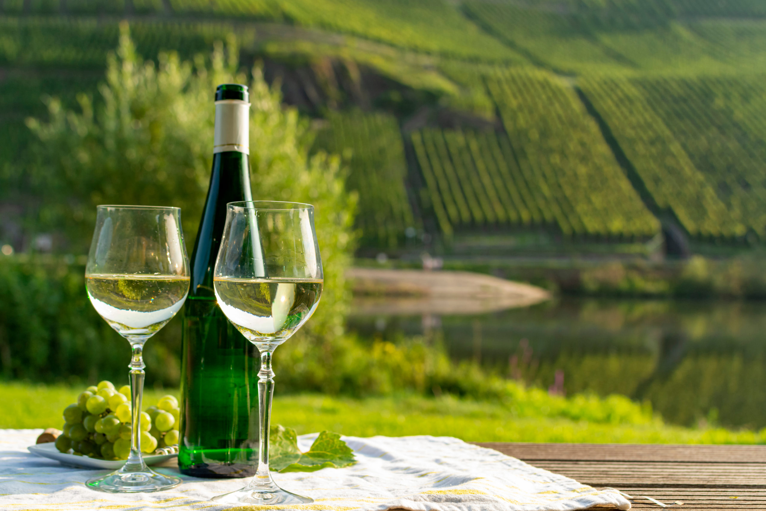 Dégustation Vin Blanc d'Alsace